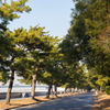 浜寺公園