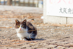 人間に気が付く