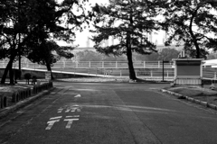 公園内徐行