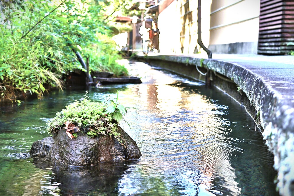 拝啓 霜降の候 郡上八幡6