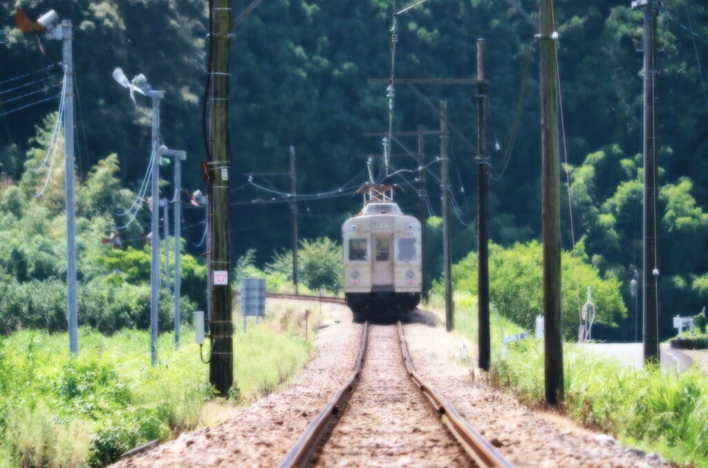 拝啓 処暑の候 抜里3
