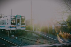 拝啓 小寒の候 桜木6