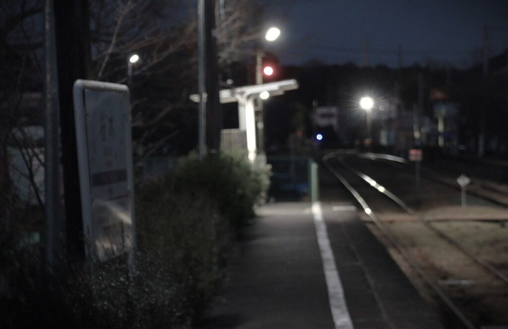 拝啓 小寒の候 桜木1