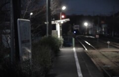 拝啓 小寒の候 桜木1