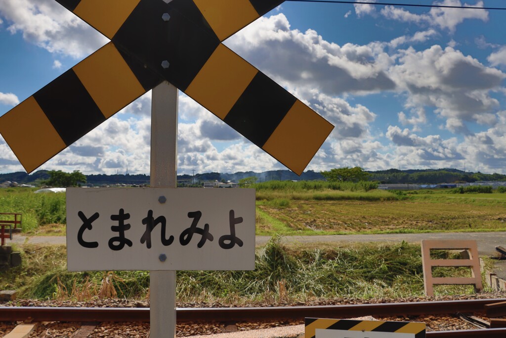 てんはま いこいの広場駅3