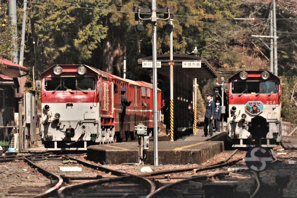 春の日、接岨峡温泉駅2