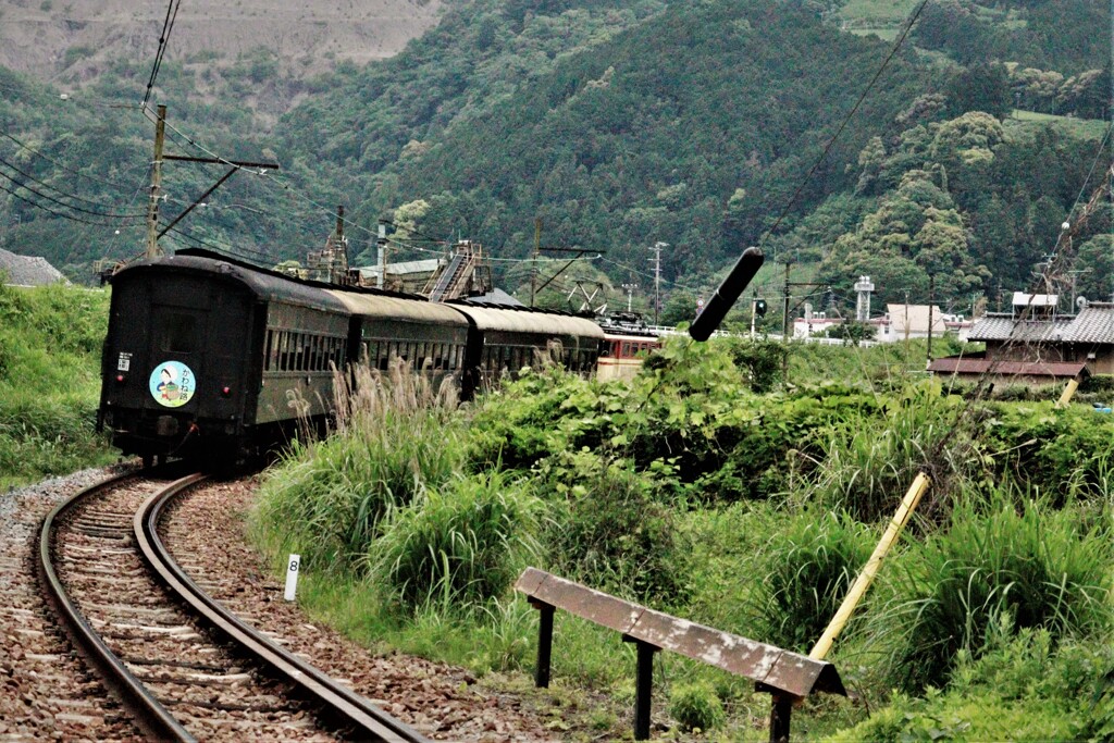 大井川鉄道に乗って31