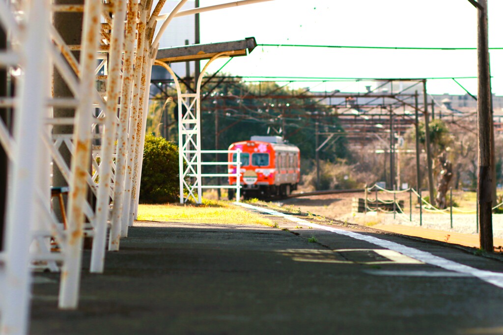 拝啓 春分の候 岳南鉄道5