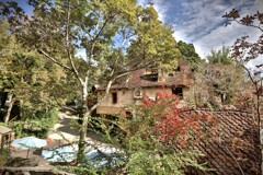 拝啓 小雪の候 ぬくもりの森1