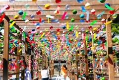遠州三山 風鈴祭り 可睡斎2