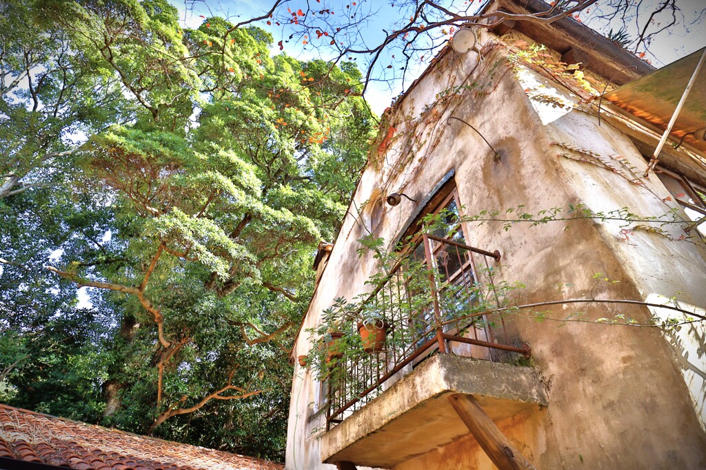 拝啓 小雪の候 ぬくもりの森6