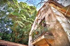 拝啓 小雪の候 ぬくもりの森6