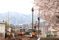 てんはま 原谷駅3