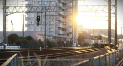 拝啓 小寒の候 散歩道7 