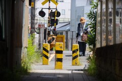 拝啓 立夏の候 清水1