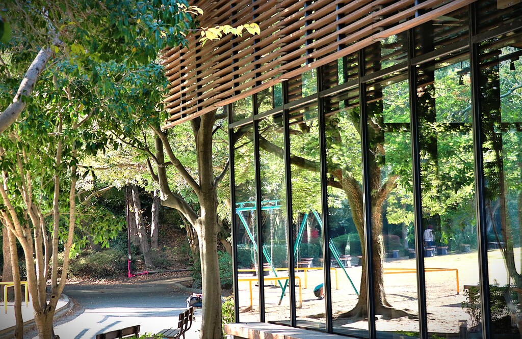 拝啓 小雪の候 浜松城公園4