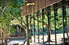 拝啓 小雪の候 浜松城公園4