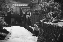 拝啓 小寒の候 花沢の里4