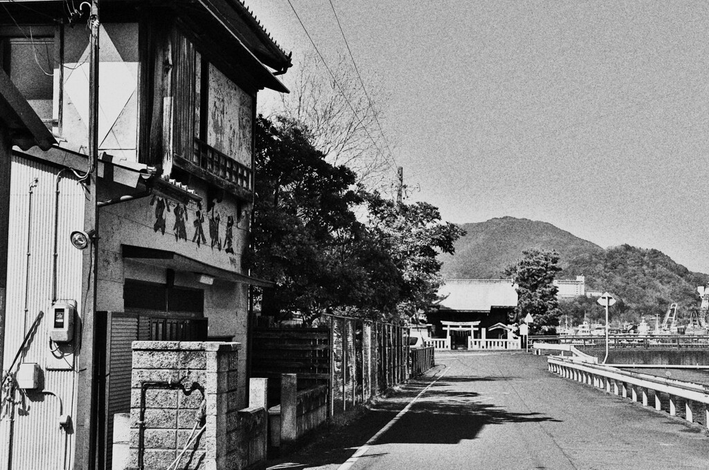 拝啓 春分の候 焼津11