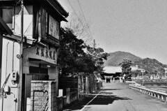 拝啓 春分の候 焼津11