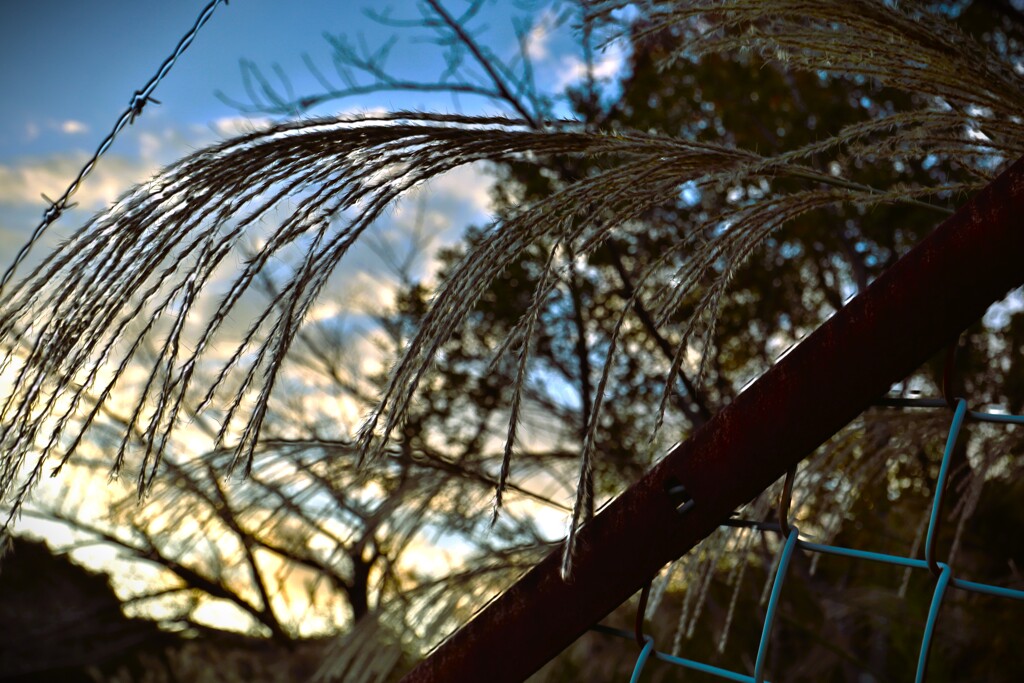 拝啓 立冬の候10