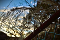 拝啓 立冬の候10