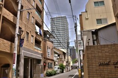 拝啓 立夏の候 静岡3