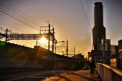 拝啓 小雪の候 浜松6