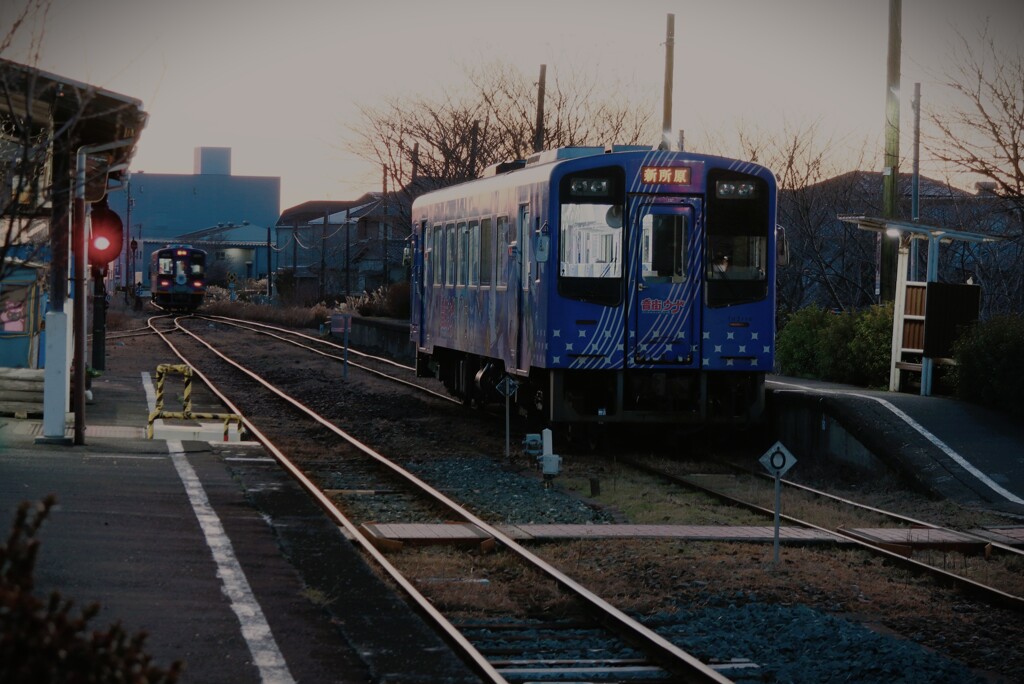 拝啓 小寒の候 桜木3