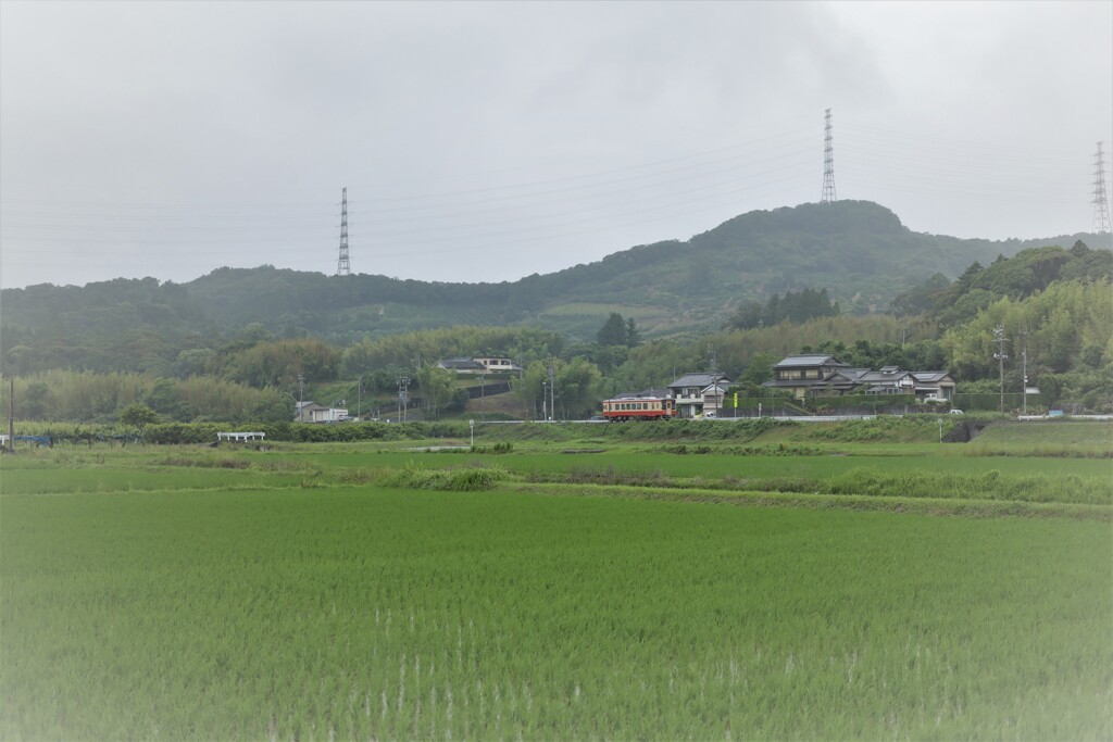 雨が空から降れば・・・。3