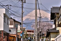 拝啓 清明の候 富士宮7