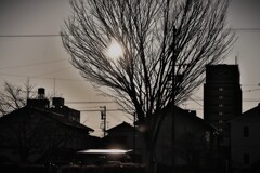 拝啓 小寒の候 散歩道4