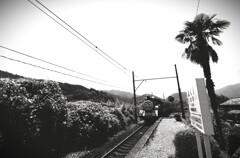 拝啓 処暑の候 mono2