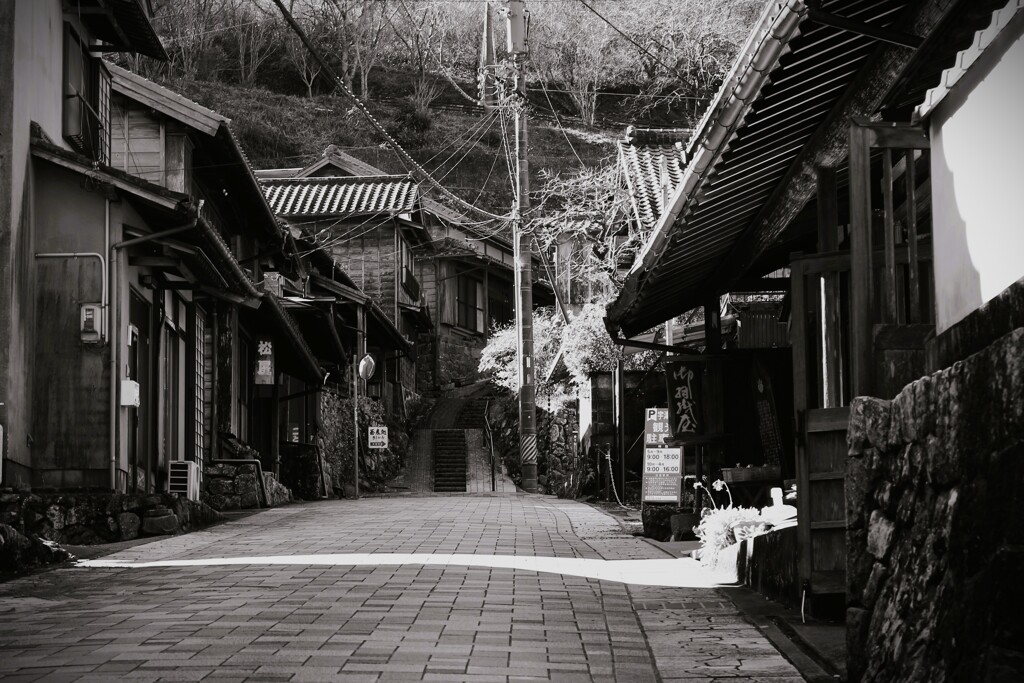 拝啓 小寒の候 宇津ノ谷1