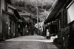 拝啓 小寒の候 宇津ノ谷1