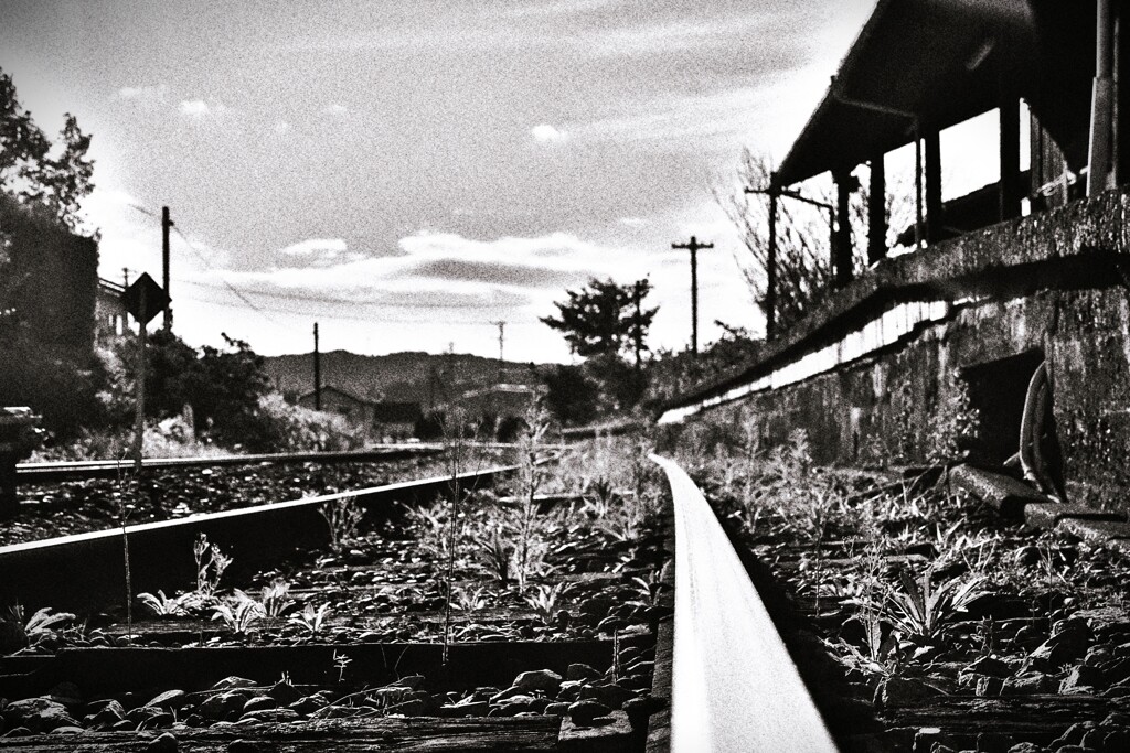 拝啓 小雪の候 遠江一宮7