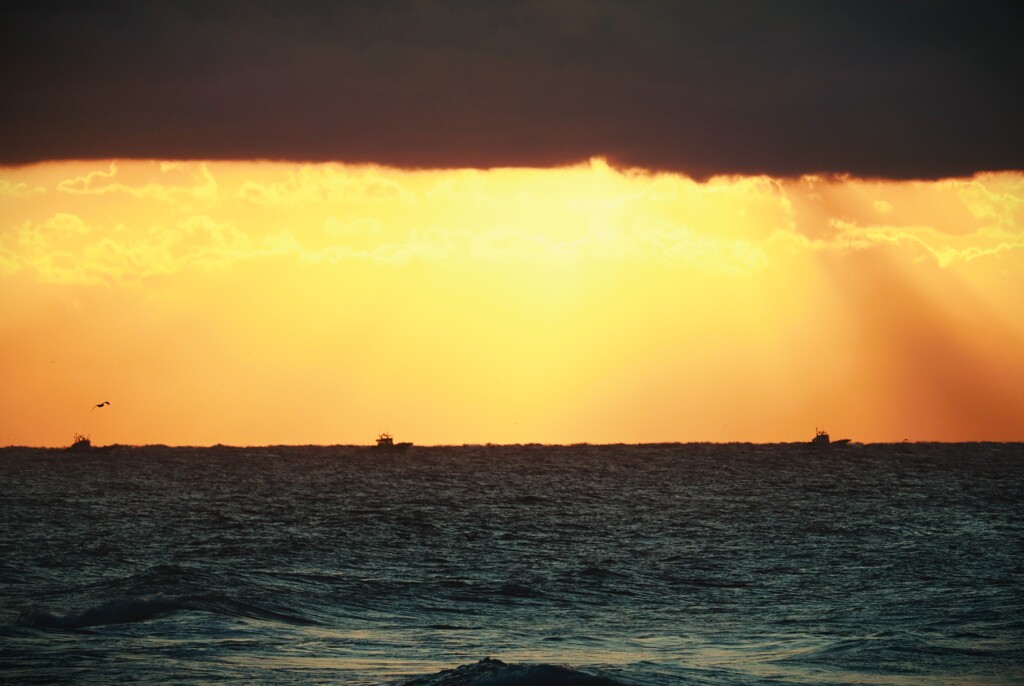 拝啓 冬至の候 御前崎2