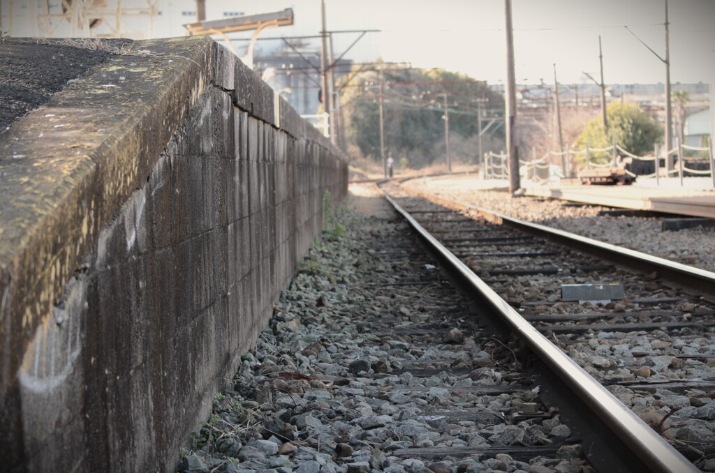 拝啓 大寒の候 岳南5