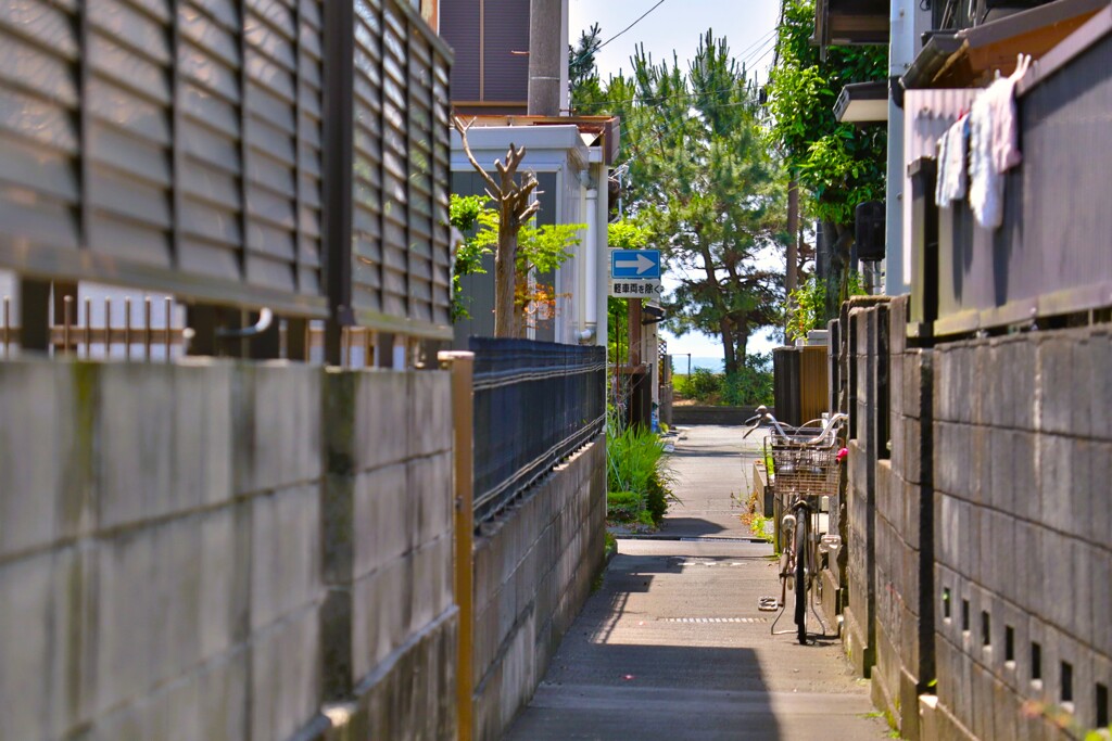 拝啓 芒種の候 用宗3