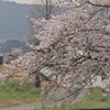 桜日和、原谷