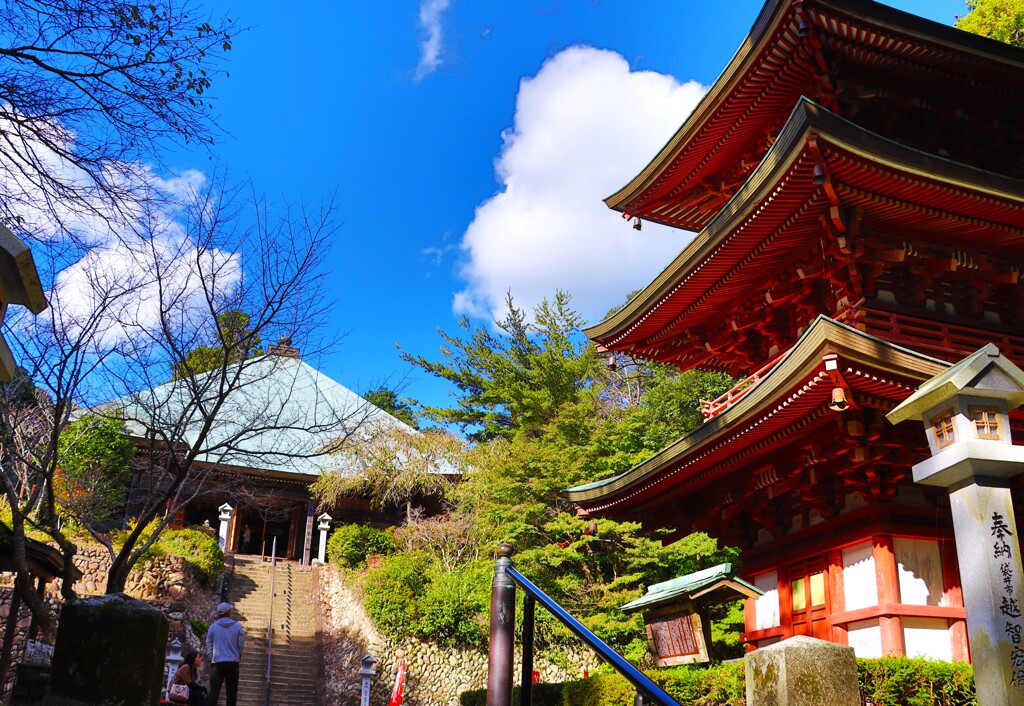 拝啓 霜降の候 油山寺2