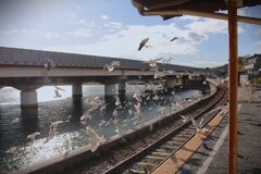 拝啓 大寒の候 佐久米1