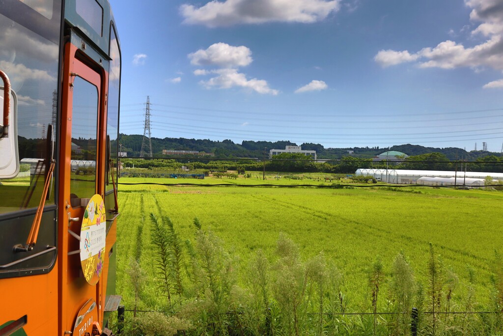 てんはま 常葉大学前駅2