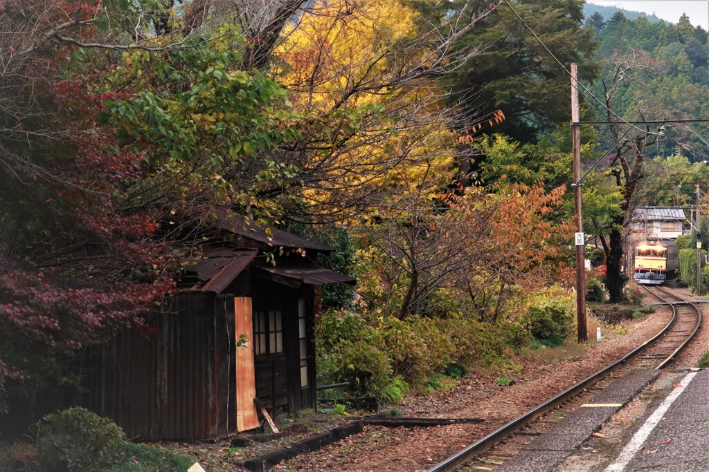 田野口駅、秋味