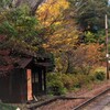 田野口駅、秋味