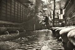 拝啓 霜降の候 郡上八幡2