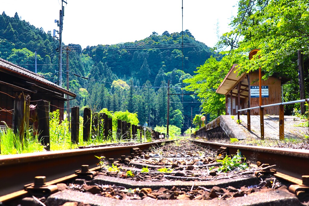 拝啓 小満の候 大井川鉄道4