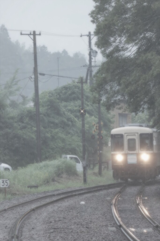 雨が空から降れば・・・。5