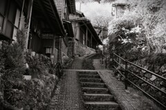 拝啓 小寒の候 宇津ノ谷2