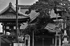 大慶寺